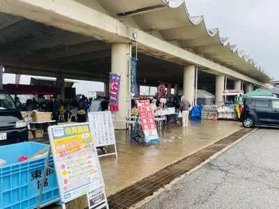 大原漁港 港の朝市