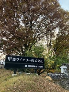 ワインカフェ 古壺（古壷 ワインカフェ ココ） 5枚目