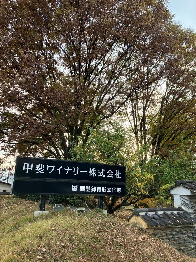 Nさんが投稿したワインカフェ 古壺（古壷 ワインカフェ ココ）に関する口コミの画像