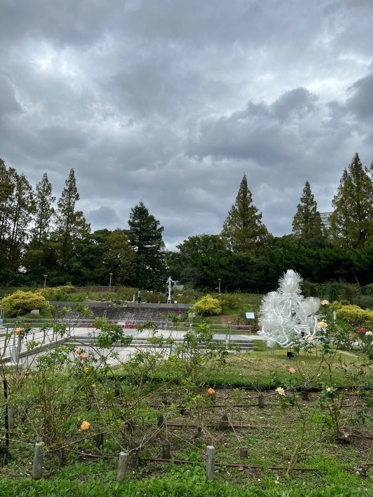 __whtri98さんが投稿した靱公園に関する口コミの画像
