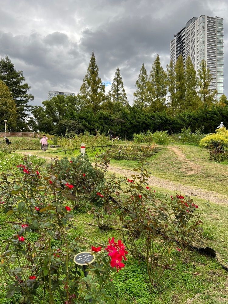__whtri98さんが投稿した靱公園に関する口コミの画像