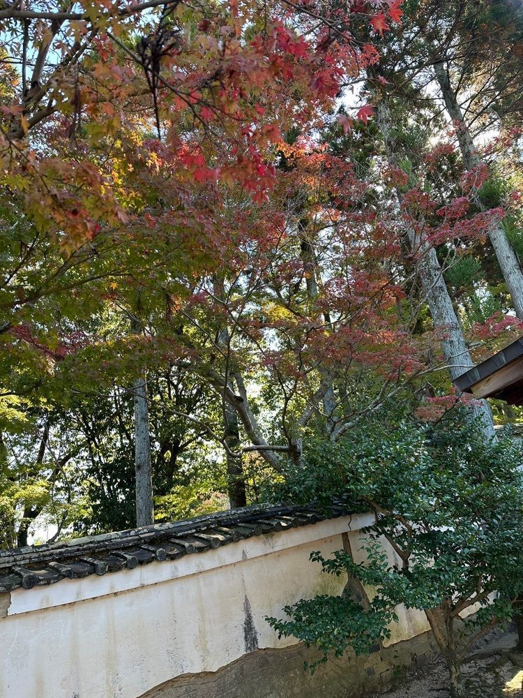 blossom&C7さんが投稿した酬恩庵庭園に関する口コミの画像