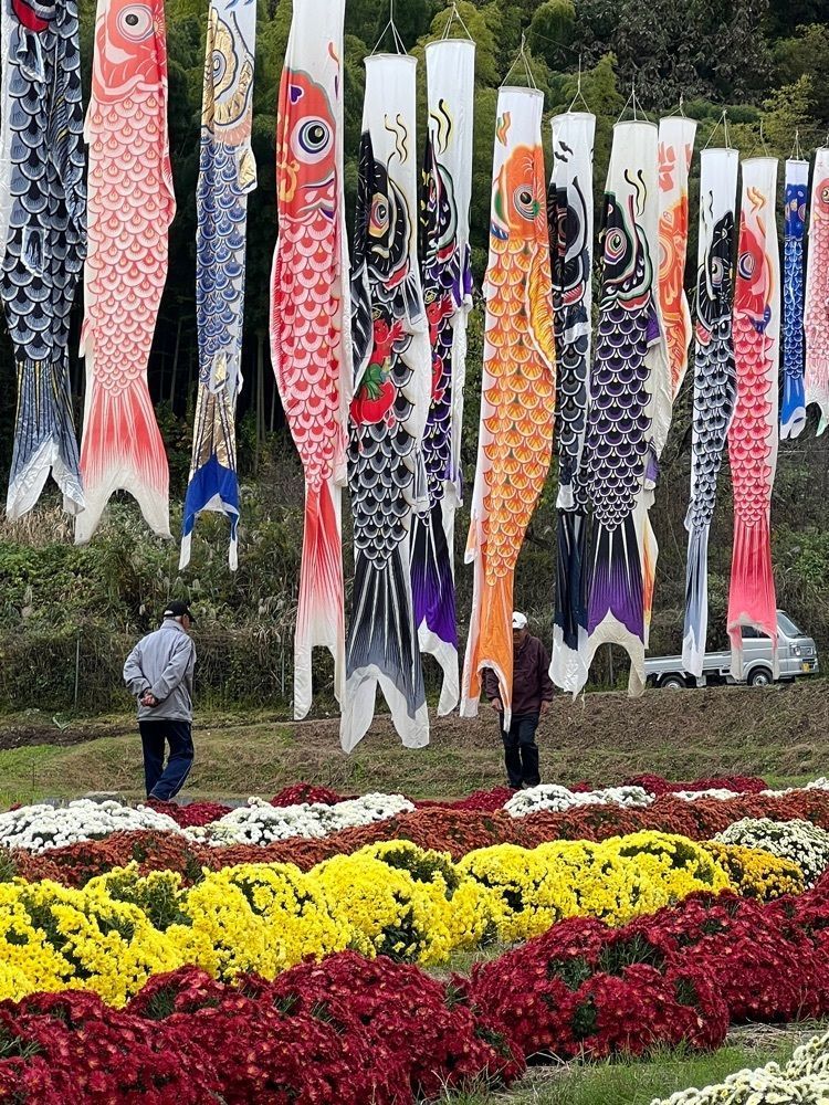 ビンカさんが投稿した足柄神社に関する口コミの画像