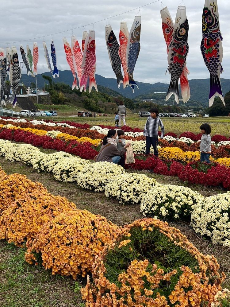 ビンカさんが投稿した足柄神社に関する口コミの画像