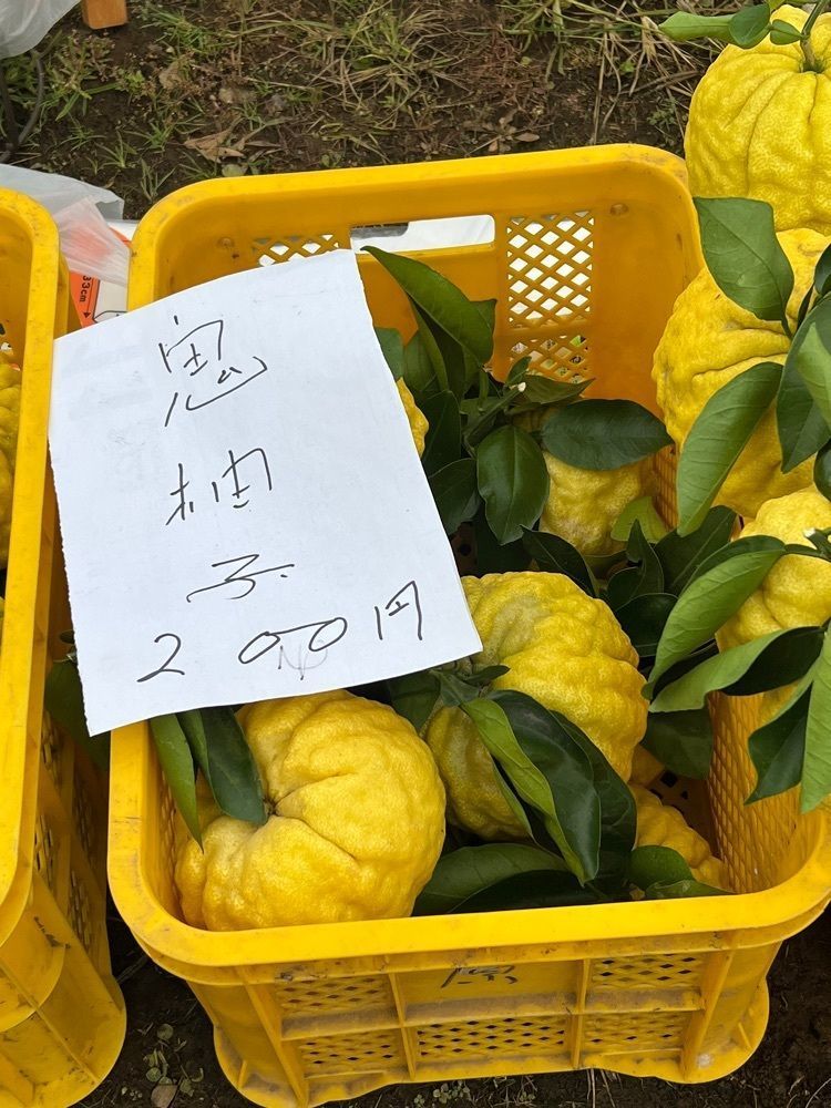 ビンカさんが投稿した足柄神社に関する口コミの画像