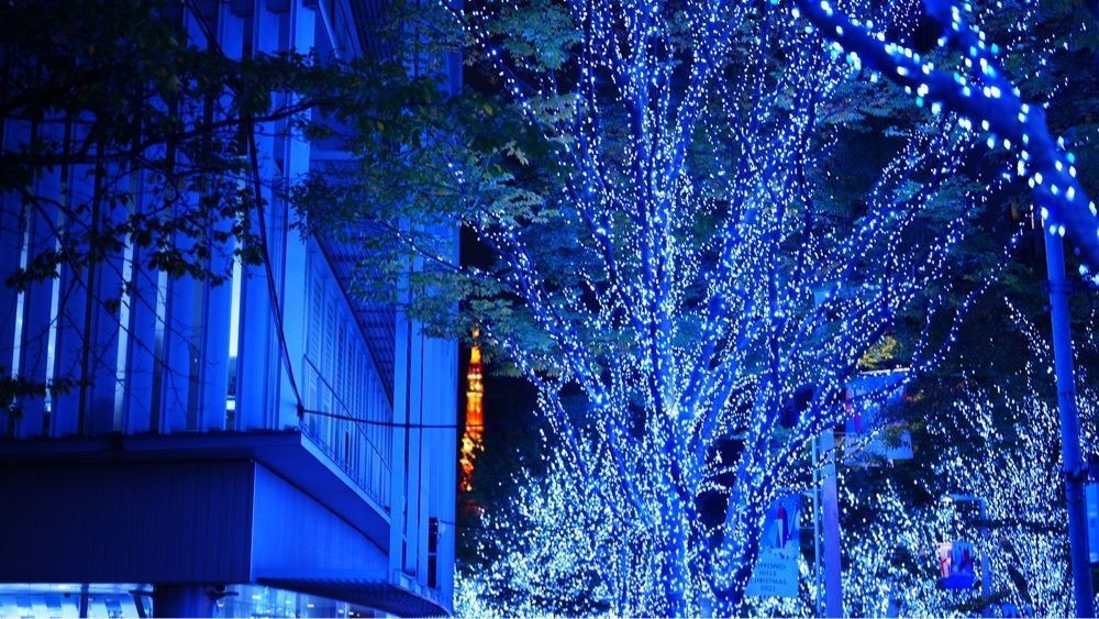 jamesさんが投稿したkate spade NEW YORK  六本木ヒルズけやき坂コンプレックス店に関する口コミの画像