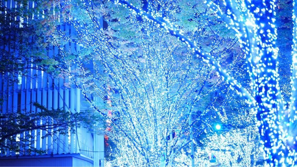 jamesさんが投稿したkate spade NEW YORK  六本木ヒルズけやき坂コンプレックス店に関する口コミの画像