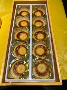 フェスティバロ 鹿児島空港店（Festivalo）