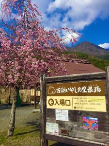 西湖いやしの里根場