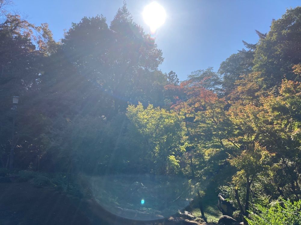 smile☺︎さんが投稿した川越大師 喜多院 境内みやげ品店に関する口コミの画像