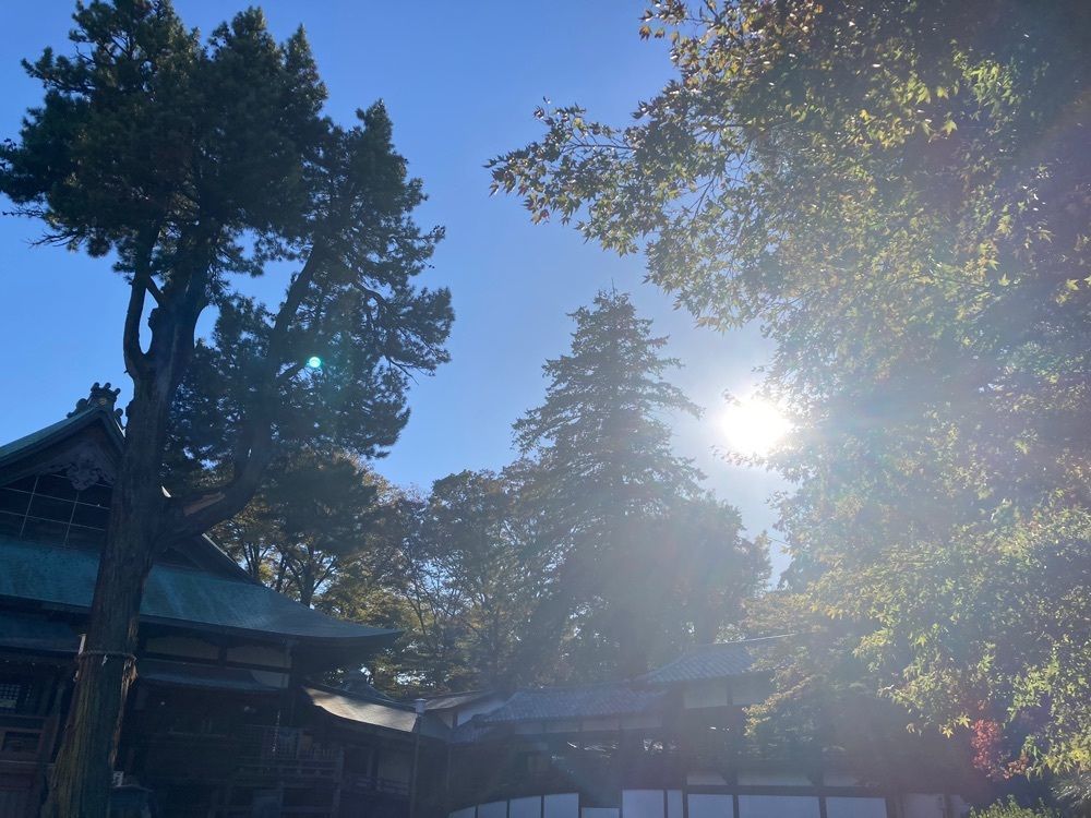smile☺︎さんが投稿した川越大師 喜多院 境内みやげ品店に関する口コミの画像