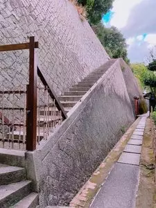 旧野崎家住宅
