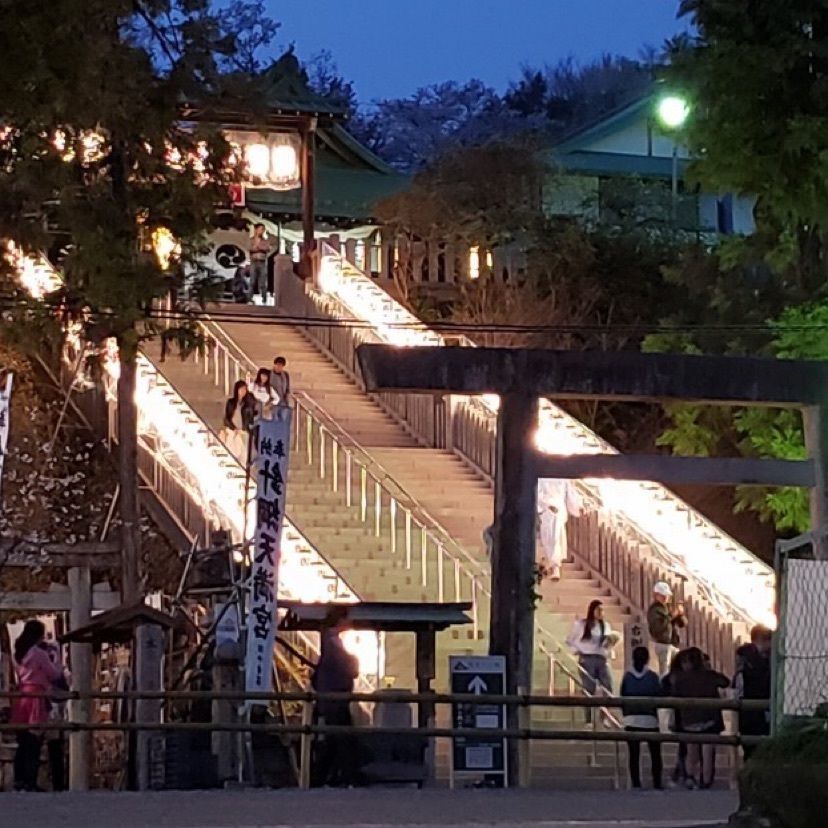 etsuko(*´∇｀*)さんが投稿した木曽川河畔犬山城の桜に関する口コミの画像