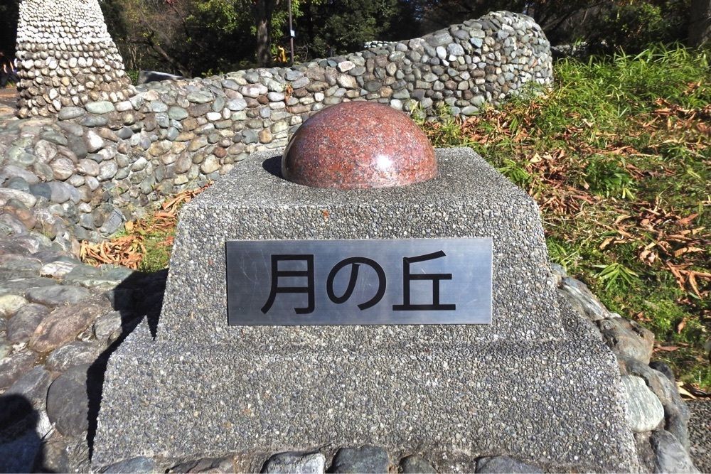 junkunさんが投稿した昭和記念公園 総合案内所 カフェに関する口コミの画像