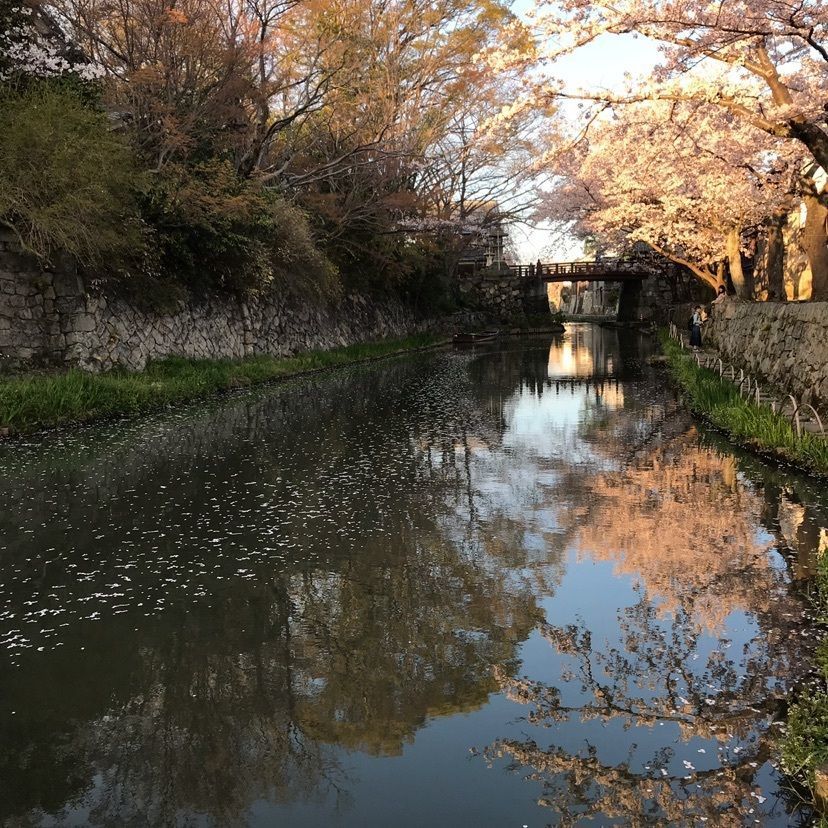KIYOSHIさんが投稿した世界遺産　吉野山　眺望風呂と桜の宿　一休庵に関する口コミの画像