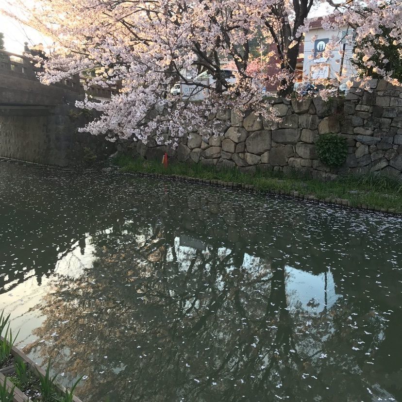 KIYOSHIさんが投稿した世界遺産　吉野山　眺望風呂と桜の宿　一休庵に関する口コミの画像