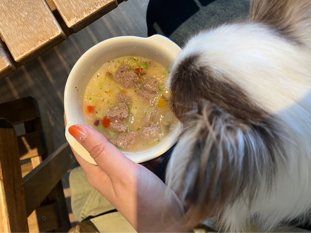 _ayu.0629_さんが投稿したジャックス ドッグカフェ アンド トリミング（Jacks DogCafe & Trimming）に関する口コミの画像