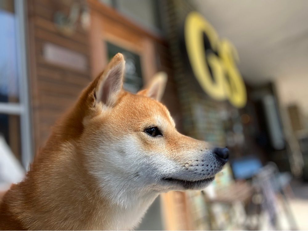 ibainuさんが投稿したジーエスバーガー（GS BURGER）に関する口コミの画像