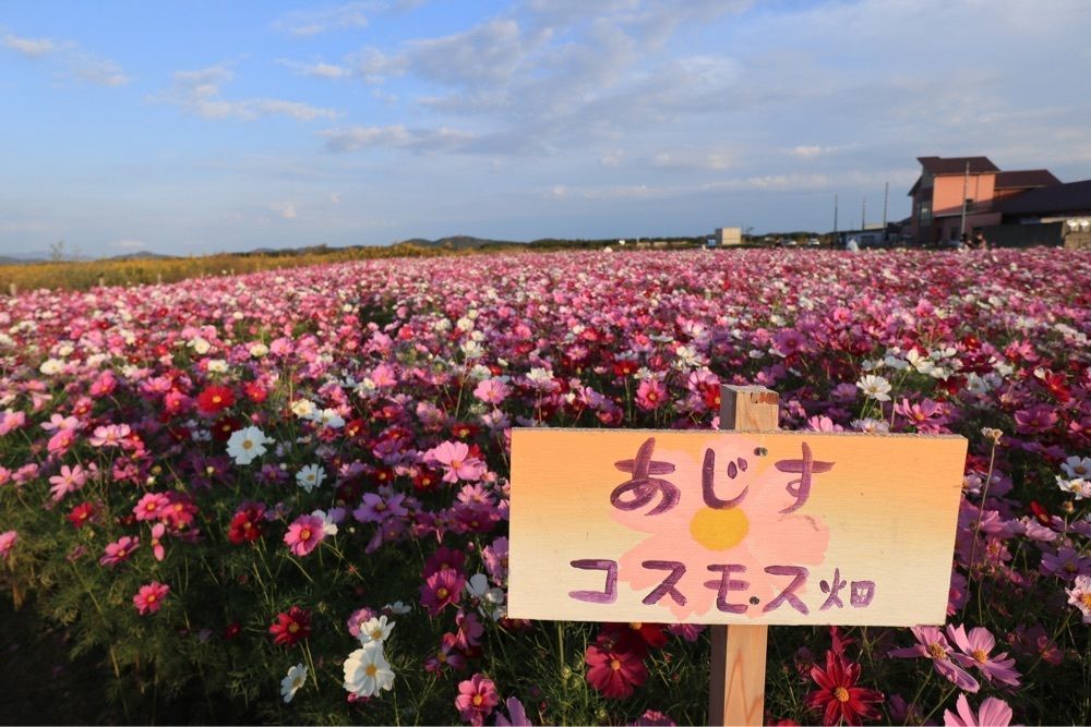 でぃーごさんが投稿した道の駅 きららあじすに関する口コミの画像