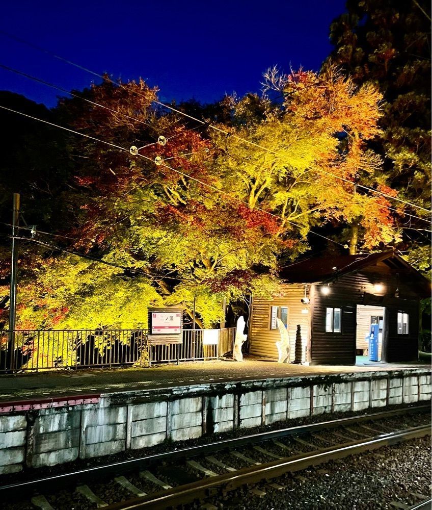 kei_koさんが投稿した二ノ瀬駅に関する口コミの画像