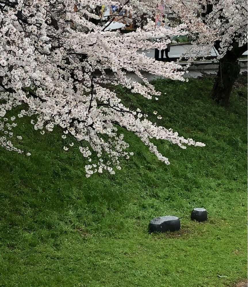ステアリング人さんが投稿した各務原市民公園に関する口コミの画像