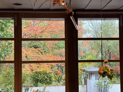 ティールーム　テテオ（tea room the theo） 2枚目