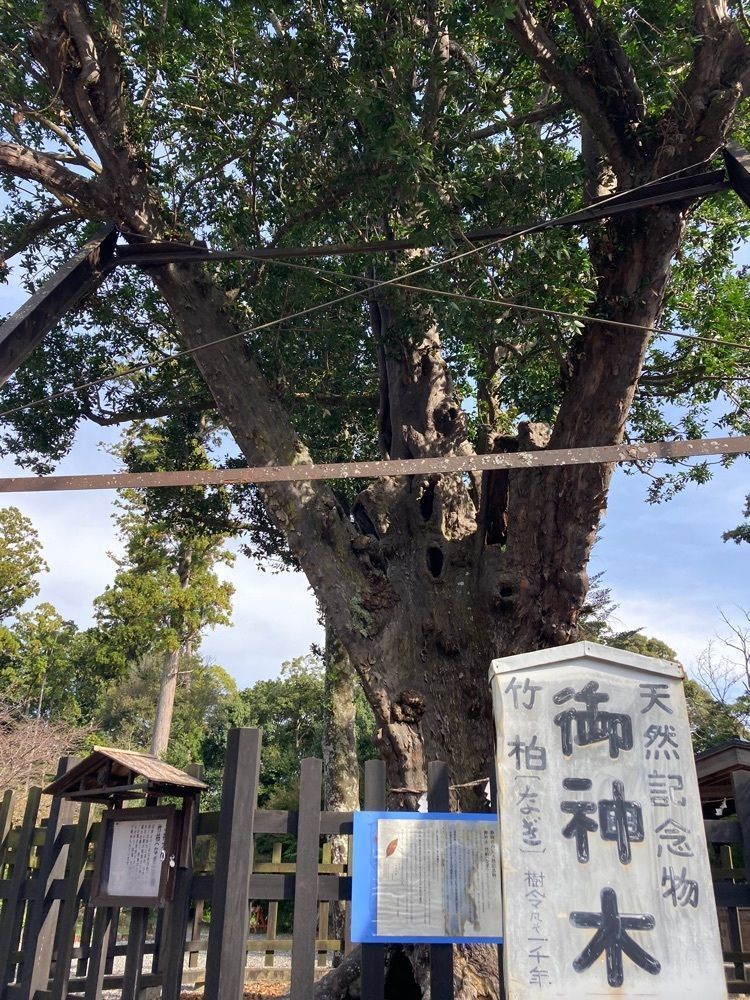 Howl Monさんが投稿した天宮神社に関する口コミの画像