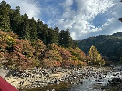 旬菜・じねんじょ市場　とろろ庵