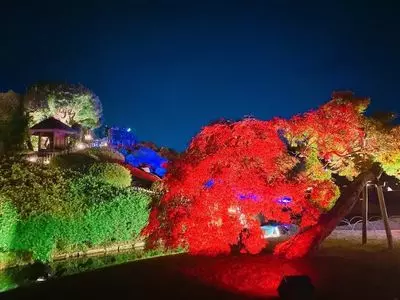 幻想庭園