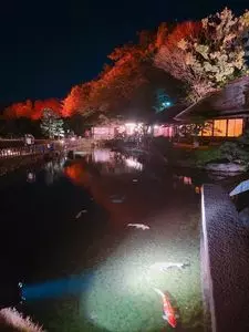 幻想庭園