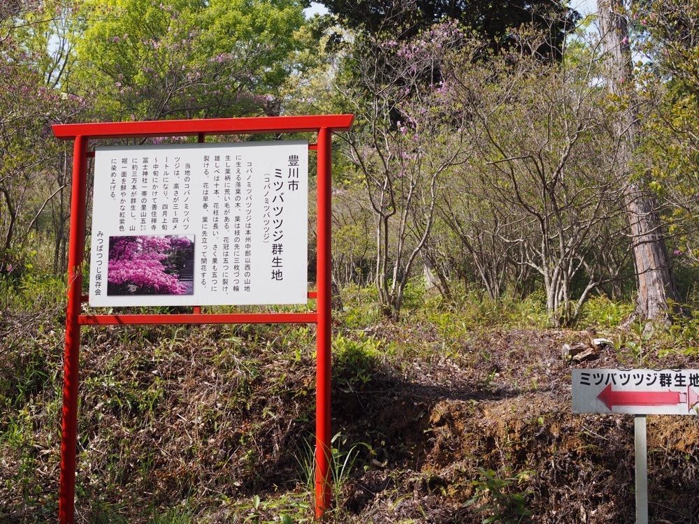 なおなおさんが投稿した豊川市観光案内所に関する口コミの画像