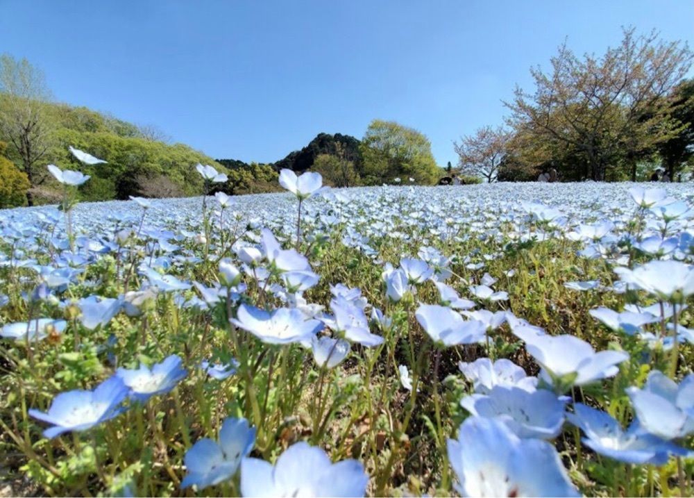 ＤＪゴン太さんが投稿した可児市に関する口コミの画像