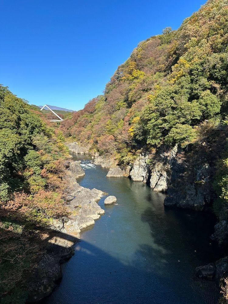 Mamisさんが投稿した高津戸峡遊歩道に関する口コミの画像