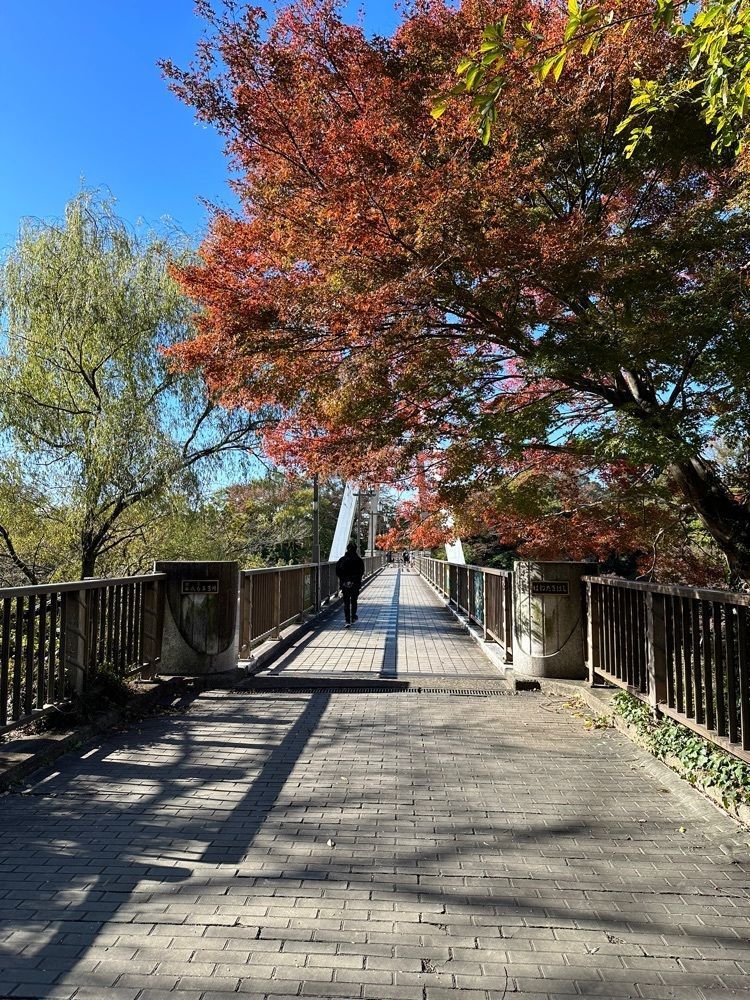 Mamisさんが投稿した高津戸峡遊歩道に関する口コミの画像