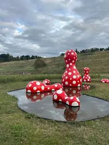 KURKKU FIELDS