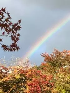 禅林寺永観堂の紅葉