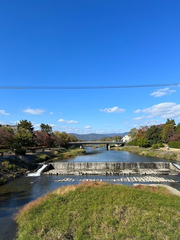 miwaさんが投稿した京つけもの・味噌 田辺宗（タナベソウ）に関する口コミの画像