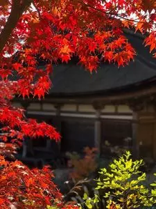 善水寺