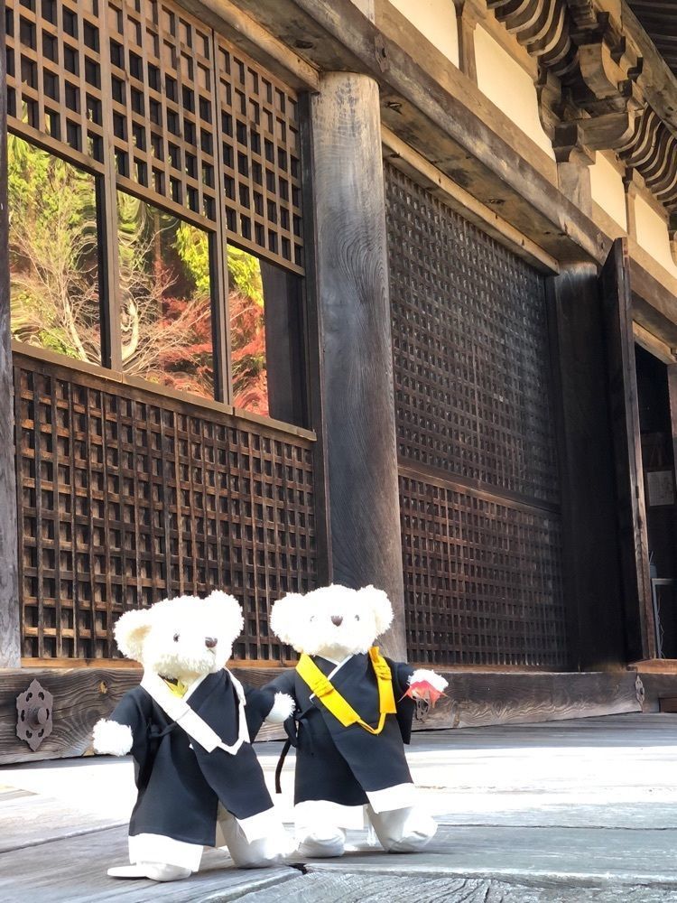 nicanさんが投稿した善水寺に関する口コミの画像