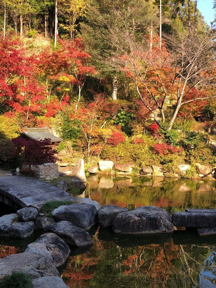 nicanさんが投稿した善水寺に関する口コミの画像