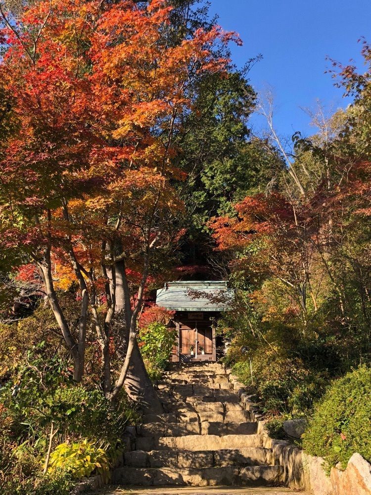 nicanさんが投稿した善水寺に関する口コミの画像