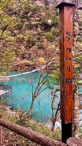 夢のつり橋 7枚目