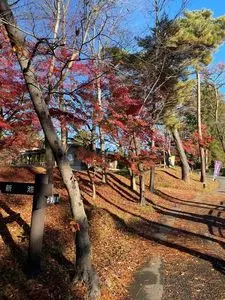 翠ヶ丘公園