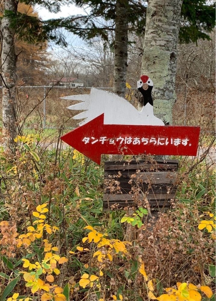 九尾の狐さんが投稿した釧路市丹頂鶴自然公園に関する口コミの画像