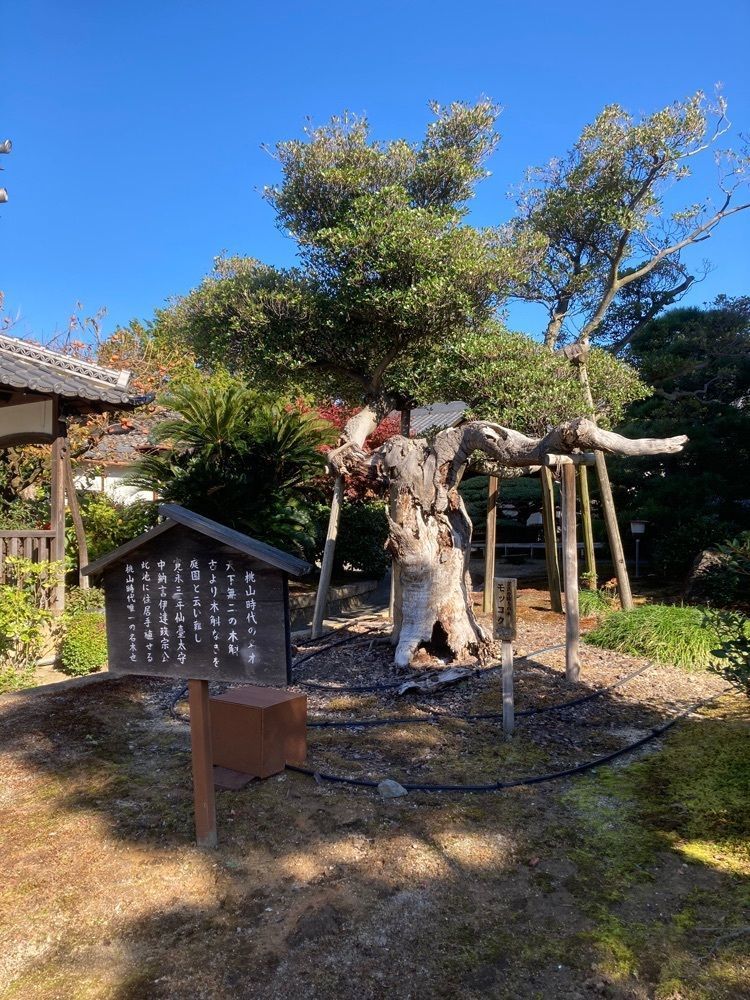 京都を巡る会・「武」さんが投稿した海寶寺（かいほうじ）に関する口コミの画像