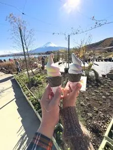 河口湖自然生活館