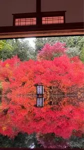 但馬安国寺