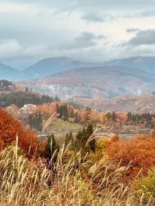 尼湯