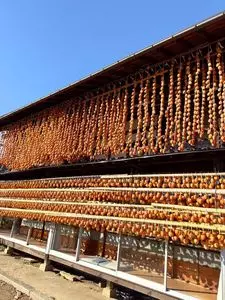 岩波農園