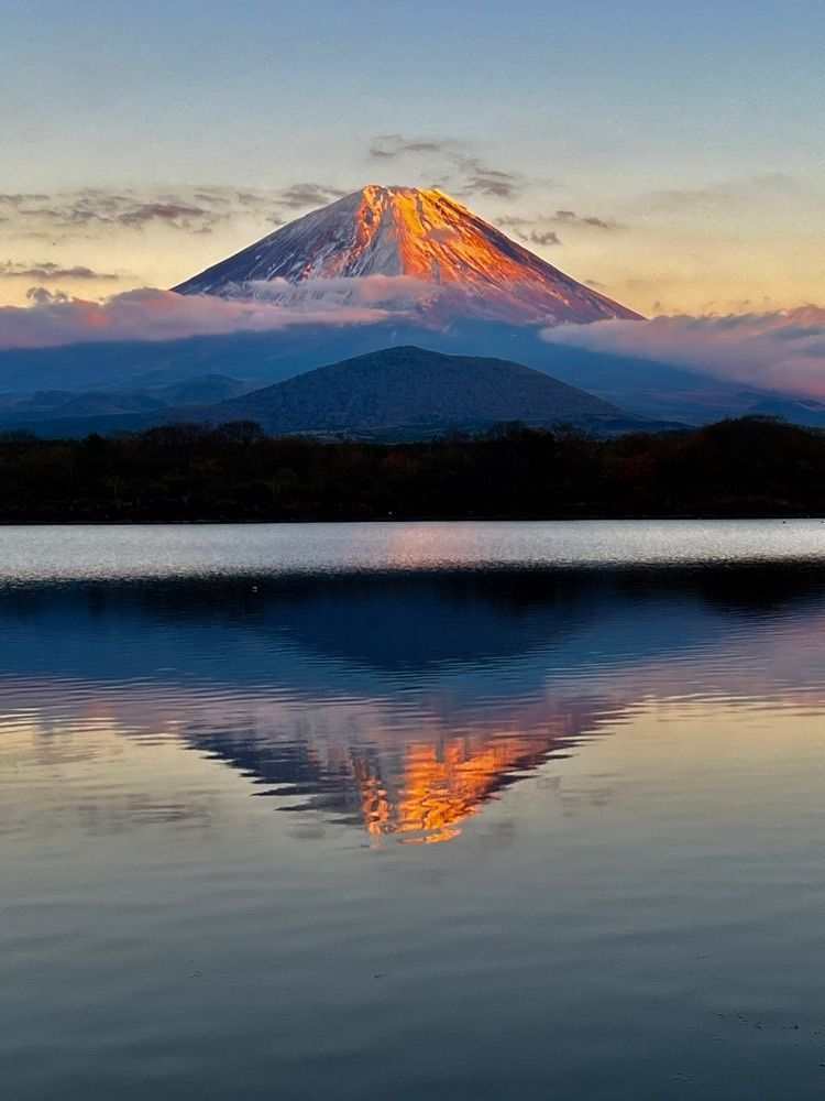 ビンカさんが投稿した精進マウントホテルに関する口コミの画像